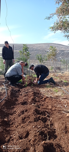 מגמת חקלאות (11).jpg